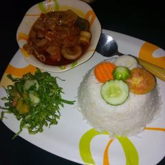 A picture of White rice with stew and salad.