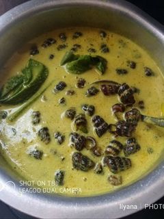 Gambar Siput Masak Lemak Cili Padi