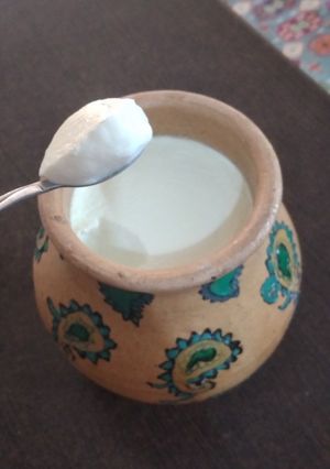 عکسی از دستور ماست کوزه ای