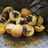 Kue cubit no mixer