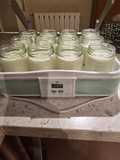 Homemade Yogurt