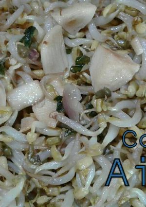 Foto resep Tumis Kecambah Gurih
