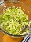 Ensalada de apio