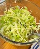 Ensalada de apio