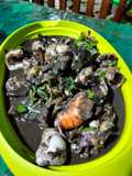Balakutak / Sotong Hitam