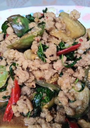 A picture of Stir-Fried Minced Pork with Thai Eggplant and Basil (Pad Krapow Moo Sap).