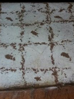 صورة لوصفة بسطيلة حلوة شكل مستطيل