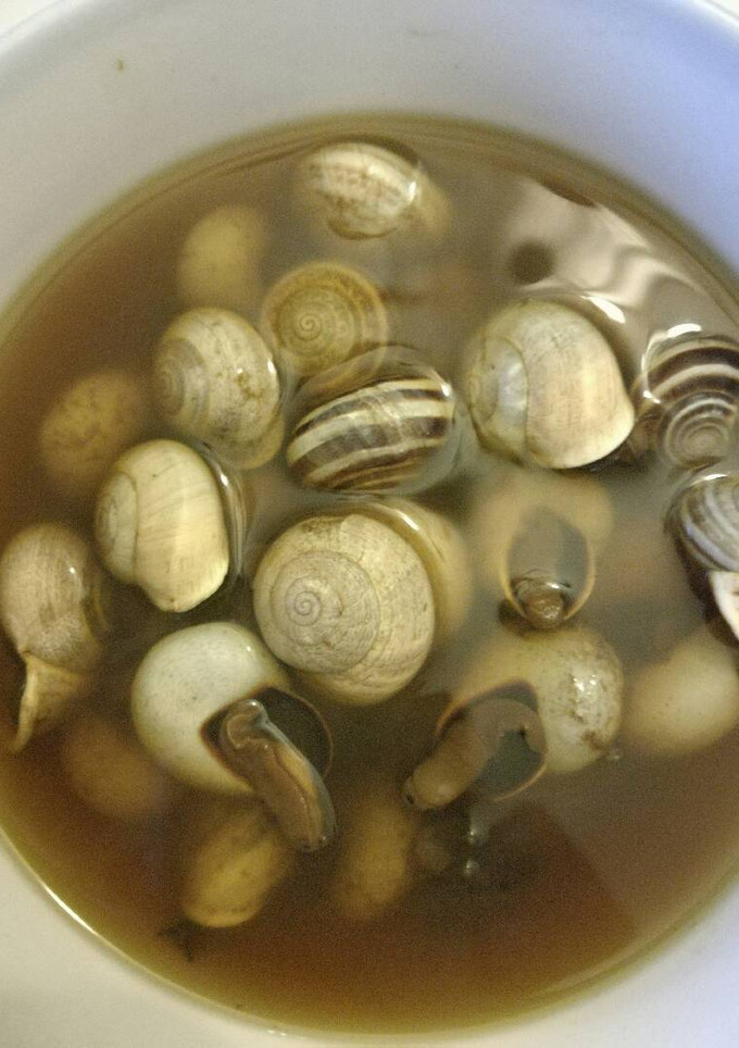 Una foto de Cabrillas en Caldito