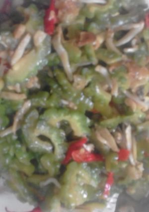 Foto resep Tumis pare ikan teri anti pahit
