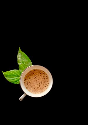 Bubble Ginger Tea রেসিপির প্রধান ছবি