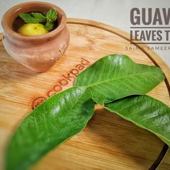 A picture of Guava leaves tea.