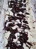 Helado de comtessa en Tm5