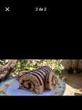 Brazo gitano