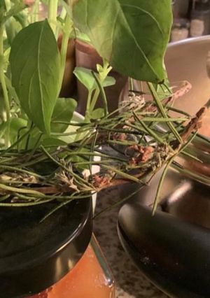 Une photo de 🌶️🥄Chorba🪹frik🌿au maquereau 🐬شربة فريك