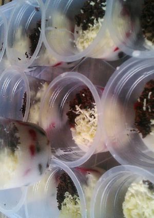 Foto resep Oreo Cheesecake maknyuss