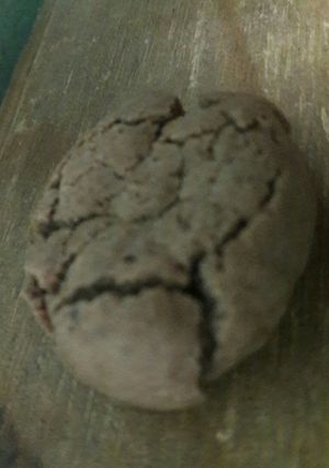 Una foto de Cookies de cacao🍪🍪🍪