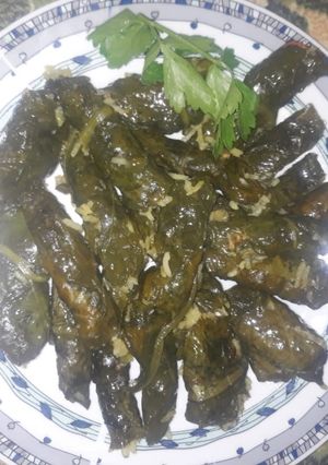 صورة لوصفة دولمه عراقيه