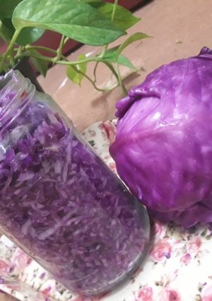 عکسی از دستور ترشی کلم قرمز