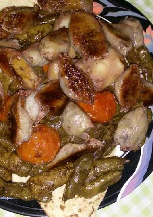 صورة لوصفة الدولمة العراقية