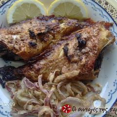 A picture of Redfish in the oven with an oil and oregano dressing.
