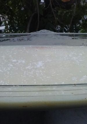 Una foto de Postre frío de bizcochuelo de coco y maizena