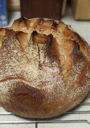 A picture of Rustic Country Loaf.