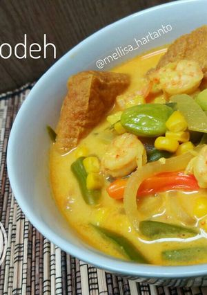 Foto resep Sayur Lodeh ala Melz