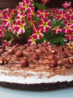 Foto di Torta fredda alla Nutella