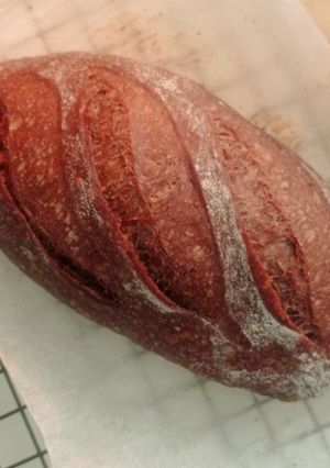 Foto resep Rye Chocolate Sourdough Baguette