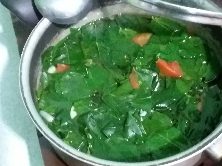 Cara Gampang Membuat Resep  Sayur bening daun katuk yang Enak, Bisa Manjain Lidah