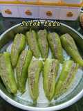 Solok Lada