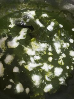 A picture of Palak paneer.