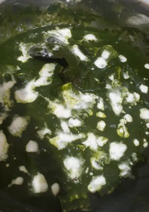 A picture of Palak paneer.