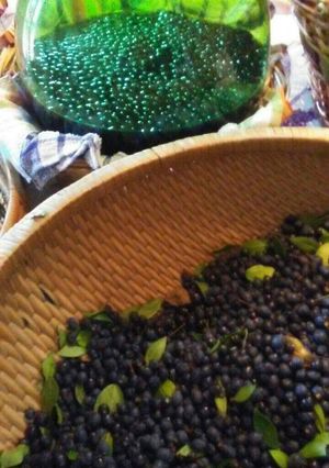 Foto di Mirto ricetta Sarda