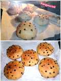 Pangoccioli