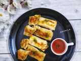 pan fried spring rolls