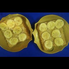 A picture of Monkey Toast.