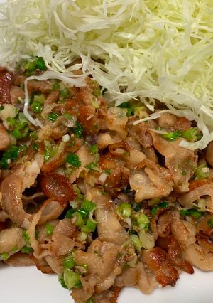 A picture of Salted Pork.