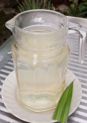 รูปของ ชามะละกอใบเตย