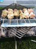 Grilled Yakitori & Tsukune Over Charcoal at Camp