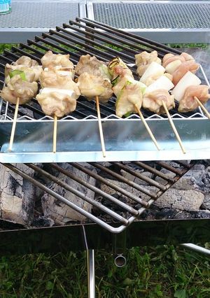 A picture of Grilled Yakitori & Tsukune Over Charcoal at Camp.