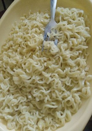 A picture of Noodles.