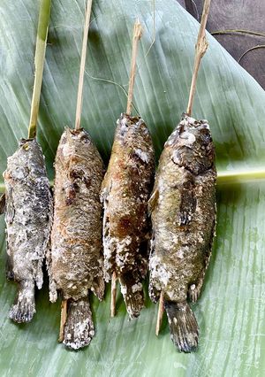 รูปของ ปิ้งปลาเข็ง (ปลาหมอย่าง)