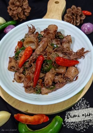 Foto resep Tumis cumi asin