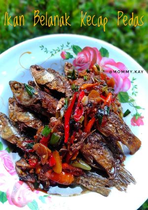 Foto resep Ikan Belanak Kecap Pedas