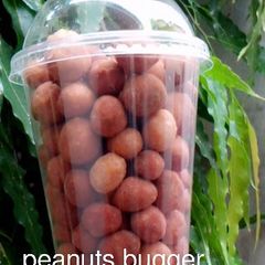 A picture of Peanuts bugger.