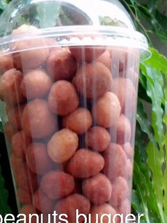 A picture of Peanuts bugger.