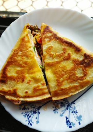 પનીર રેપ (Paneer Wrap Recipe in Gujarati) રેસીપી મુખ્ય ફોટો