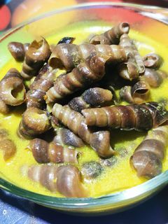 Gambar Siput sedut.(by me)