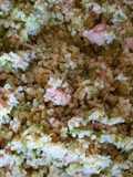 Cous cous freddo con zucchine e tonno